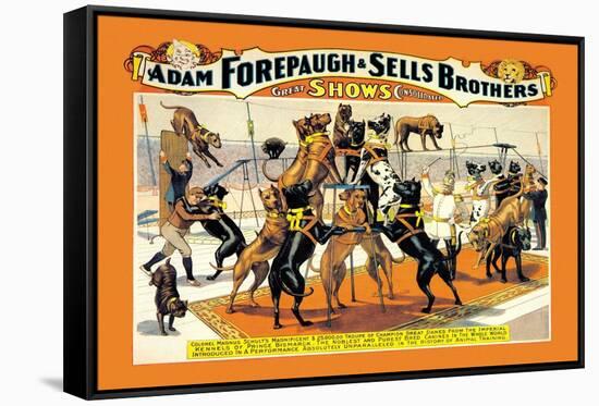 Troupe of Champion Great Danes: Adam Forepaugh and Sells Brothers-null-Framed Stretched Canvas
