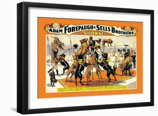 Troupe of Champion Great Danes: Adam Forepaugh and Sells Brothers-null-Framed Art Print