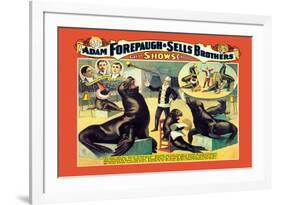 Troupe of Marvelously Educated Sea Lions and Seals: Adam Forepaugh and Sells Brothers-null-Framed Premium Giclee Print