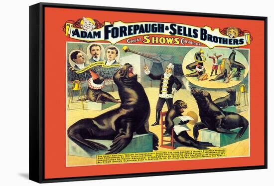 Troupe of Marvelously Educated Sea Lions and Seals: Adam Forepaugh and Sells Brothers-null-Framed Stretched Canvas