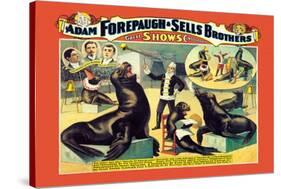 Troupe of Marvelously Educated Sea Lions and Seals: Adam Forepaugh and Sells Brothers-null-Stretched Canvas