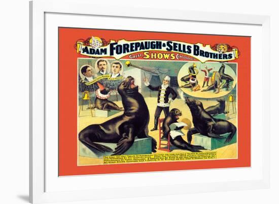 Troupe of Marvelously Educated Sea Lions and Seals: Adam Forepaugh and Sells Brothers-null-Framed Art Print