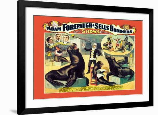 Troupe of Marvelously Educated Sea Lions and Seals: Adam Forepaugh and Sells Brothers-null-Framed Art Print