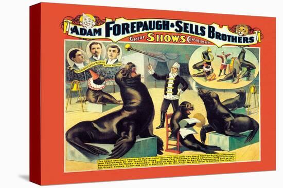 Troupe of Marvelously Educated Sea Lions and Seals: Adam Forepaugh and Sells Brothers-null-Stretched Canvas