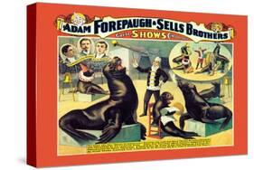 Troupe of Marvelously Educated Sea Lions and Seals: Adam Forepaugh and Sells Brothers-null-Stretched Canvas