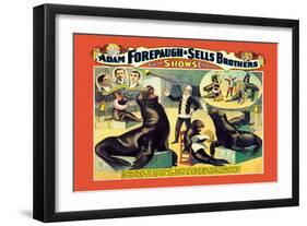 Troupe of Marvelously Educated Sea Lions and Seals: Adam Forepaugh and Sells Brothers-null-Framed Art Print