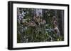 Troupe of Stump-Tailed Macaques (Macaca Arctoices)-Craig Lovell-Framed Photographic Print