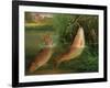 Trout at Winchester-Valentine Thomas Garland-Framed Giclee Print