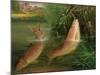 Trout at Winchester-Valentine Thomas Garland-Mounted Giclee Print