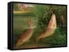 Trout at Winchester-Valentine Thomas Garland-Framed Stretched Canvas