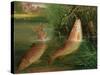 Trout at Winchester-Valentine Thomas Garland-Stretched Canvas