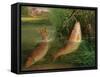 Trout at Winchester-Valentine Thomas Garland-Framed Stretched Canvas