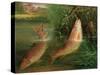 Trout at Winchester-Valentine Thomas Garland-Stretched Canvas