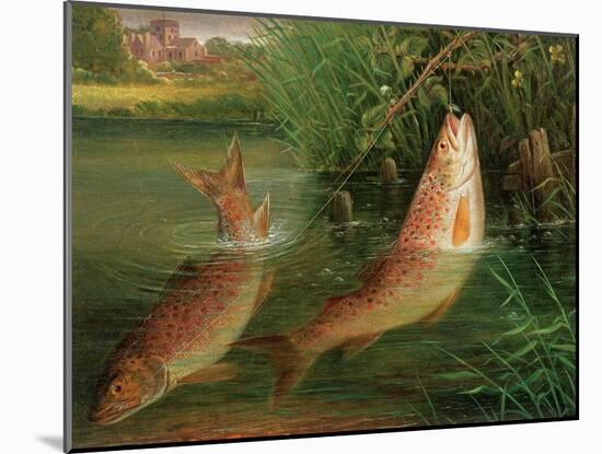 Trout at Winchester-Valentine Thomas Garland-Mounted Giclee Print