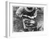 Trout Catch 1934-null-Framed Photographic Print