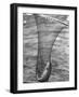 Trout Caught in a Net-Carl Mydans-Framed Photographic Print