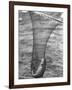 Trout Caught in a Net-Carl Mydans-Framed Photographic Print