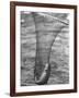 Trout Caught in a Net-Carl Mydans-Framed Photographic Print