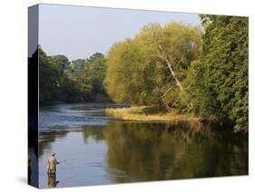 Trout Fisherman Casting to a Fish on the River Dee, Wrexham, Wales-John Warburton-lee-Stretched Canvas