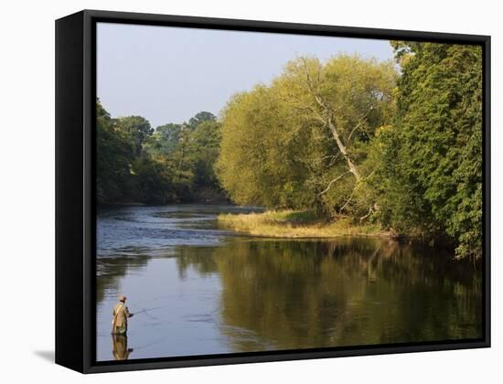 Trout Fisherman Casting to a Fish on the River Dee, Wrexham, Wales-John Warburton-lee-Framed Stretched Canvas