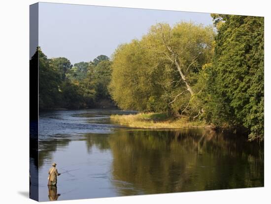 Trout Fisherman Casting to a Fish on the River Dee, Wrexham, Wales-John Warburton-lee-Stretched Canvas