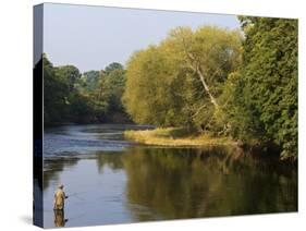 Trout Fisherman Casting to a Fish on the River Dee, Wrexham, Wales-John Warburton-lee-Stretched Canvas
