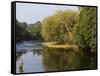 Trout Fisherman Casting to a Fish on the River Dee, Wrexham, Wales-John Warburton-lee-Framed Stretched Canvas