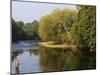 Trout Fisherman Casting to a Fish on the River Dee, Wrexham, Wales-John Warburton-lee-Mounted Photographic Print