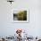 Trout Fisherman Casting to a Fish on the River Dee, Wrexham, Wales-John Warburton-lee-Framed Photographic Print displayed on a wall