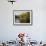 Trout Fisherman Casting to a Fish on the River Dee, Wrexham, Wales-John Warburton-lee-Framed Photographic Print displayed on a wall