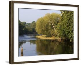 Trout Fisherman Casting to a Fish on the River Dee, Wrexham, Wales-John Warburton-lee-Framed Photographic Print