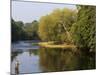 Trout Fisherman Casting to a Fish on the River Dee, Wrexham, Wales-John Warburton-lee-Mounted Photographic Print