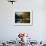 Trout Fisherman Casting to a Fish on the River Dee, Wrexham, Wales-John Warburton-lee-Framed Photographic Print displayed on a wall