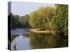 Trout Fisherman Casting to a Fish on the River Dee, Wrexham, Wales-John Warburton-lee-Stretched Canvas