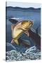 Trout Fishing Cross-Section, West Yellowstone, Montana-Lantern Press-Stretched Canvas
