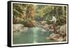 Trout Fishing in Creek-null-Framed Stretched Canvas