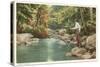 Trout Fishing in Creek-null-Stretched Canvas