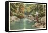 Trout Fishing in Creek-null-Framed Stretched Canvas