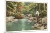 Trout Fishing in Creek-null-Mounted Premium Giclee Print