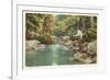 Trout Fishing in Stream-null-Framed Premium Giclee Print