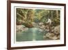 Trout Fishing in Stream-null-Framed Premium Giclee Print