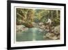 Trout Fishing in Stream-null-Framed Premium Giclee Print