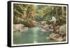 Trout Fishing in Stream-null-Framed Stretched Canvas