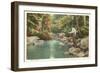 Trout Fishing in Stream-null-Framed Art Print