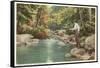 Trout Fishing in the Adirondacks, New York-null-Framed Stretched Canvas