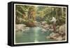 Trout Fishing in the Adirondacks, New York-null-Framed Stretched Canvas