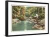 Trout Fishing in the Adirondacks, New York-null-Framed Art Print