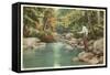 Trout Fishing in the Adirondacks, New York-null-Framed Stretched Canvas