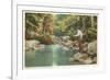 Trout Fishing in the Adirondacks, New York-null-Framed Premium Giclee Print