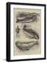 Trout Fishing, the Pick of the Basket-null-Framed Giclee Print